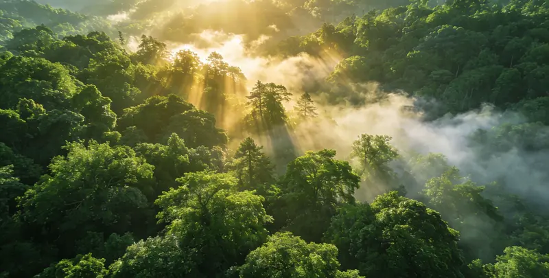 齐齐哈尔肺癌靶向39基因检测及PDL122C3表达检测套餐（组织）图片1