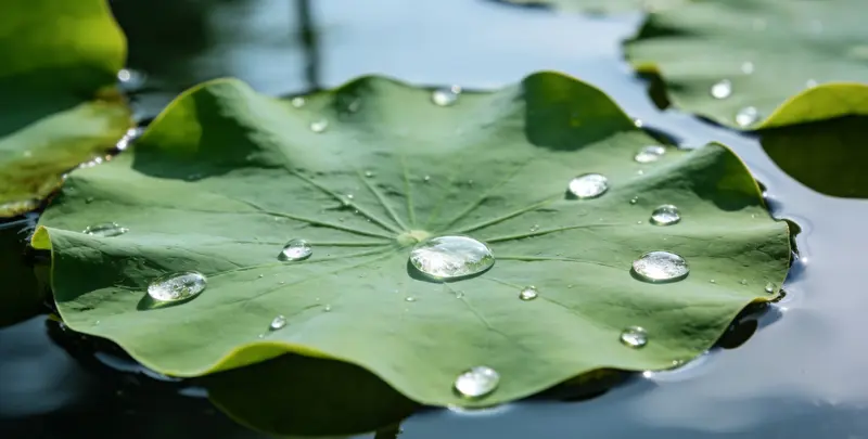 齐齐哈尔乳腺癌21基因mRNA表达分析图片1